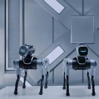 Robot chien éducatif pour la programmation STEM, la recherche en robotique et l'apprentissage de l'IA MagicDog EDU