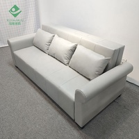 Europäisches ausziehbares weißes Schlafs ofa Modernes Futon für Wohnungen mit Stauraum