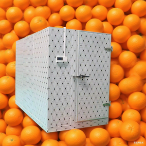 <span class=keywords><strong>Precio</strong></span> de fábrica Fish Blast Freezer <span class=keywords><strong>Solar</strong></span> Powered Cool Room Equipo de refrigeración para verduras Frutas Bebidas y carne - Product Image 4