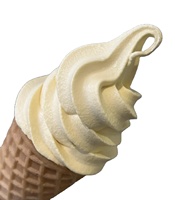 IJsmachine met één kop, voor op het aanrecht, voor restaurants, fastfoodzaken, soft serve maker