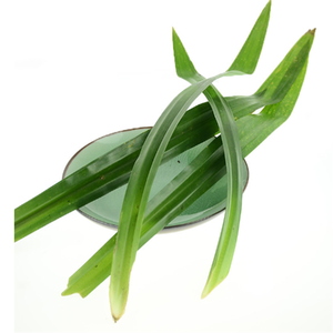 Poudre odorante de <span class=keywords><strong>Pandanus</strong></span> de qualité alimentaire standard GMP de haute qualité Poudre de feuilles de Pandan Amaryllifolius emballée sous vide dans des fûts - Product Image 4