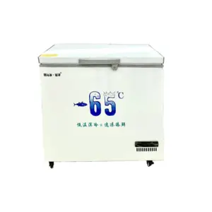 High Quality Commercial Portable Ultra Low Freezer For Deep Sea Fishing Use Ultra-Low Fast Chest Freezer