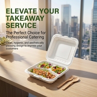 Boîte à lunch jetable carrée Fude en PP de qualité alimentaire, épaisseur 2 mm, 9x6 pouces, style américain pour burgers à emporter, avec logo/graphisme personnalisé