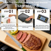 Bolsa Portátil para Cocción Sous Vide, 90W, Ultrafina, Inteligente, para Oficina y Hogar, Control Digital de Temperatura 40-80°C ℃   para filete de salmón