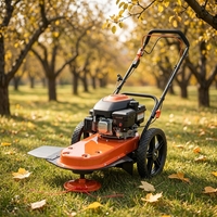 Débroussailleuse industrielle 4 temps à essence haute puissance, autotractée, poussée à la main, coupe-herbe 3800W avec fil nylon