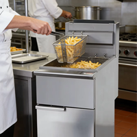 Équipement de cuisine commercial personnalisé Friteuse verticale à induction en acier inoxydable Friteuse à air chaud Friteuse à gaz sous pression
