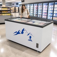 Congélateur coffre blanc avec 2 couvercles coulissants en verre, isolation en mousse de cyclopentane, pour supermarché, vente en gros