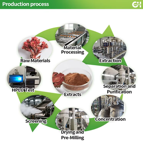 Toptan Sıcak Satış <span class=keywords><strong>Panax</strong></span> <span class=keywords><strong>Ginseng</strong></span> %80 Ginsenosidler <span class=keywords><strong>Ginseng</strong></span> Ekstresi <span class=keywords><strong>Ginseng</strong></span> Kökü Ekstresi Tozu - Product Image 6