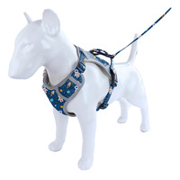 Ensemble personnalisé de laisse et collier pour chien en nylon, motif fusée astronaute, serviette anti-bave, harnais, ensemble de 6 pièces