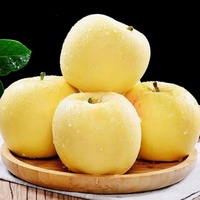 Premium verse Golden Delicious appel, gele appel, natuurlijke smaak, voor detailhandel en horeca
