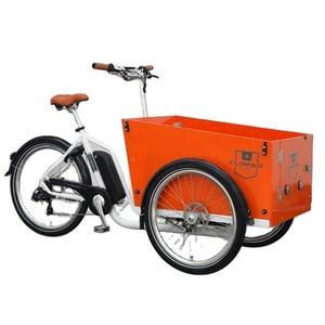 NOUVEAU STYLE <span class=keywords><strong>Vélo</strong></span> <span class=keywords><strong>cargo</strong></span> à <span class=keywords><strong>assistance</strong></span> <span class=keywords><strong>électrique</strong></span> à 3 roues <span class=keywords><strong>avec</strong></span> support pour adulte e-trike - Product Image 2