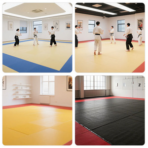 Crosste Mma Mats Tatami 100x100x4cm Bjj Roll Out Mats Wall Protection Pvc Mma Mats
