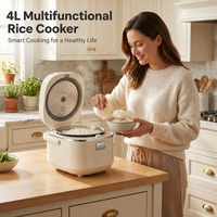 Cuisinière à riz multifonctionnelle, puissance 800-1000W, grande capacité pour 2 à 6 personnes, pot intérieur antiadhésif, couvercle en acier inoxydable