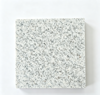 Marches d'escalier en granit G303 gris poivre naturel poli brillant, bord biseauté, pour décoration intérieure