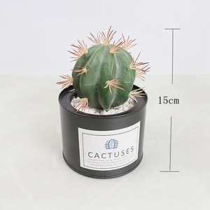 Plante décorative artificielle de fleur artificielle succulente de petit <span class=keywords><strong>cactus</strong></span> avec le VP-HL007 de pot - Product Image 4