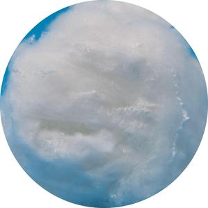 Trinh Nữ <span class=keywords><strong>1.2d</strong></span> <span class=keywords><strong>38mm</strong></span> co rút cao <span class=keywords><strong>polyester</strong></span> <span class=keywords><strong>STAPLE</strong></span> sợi - Product Image 4