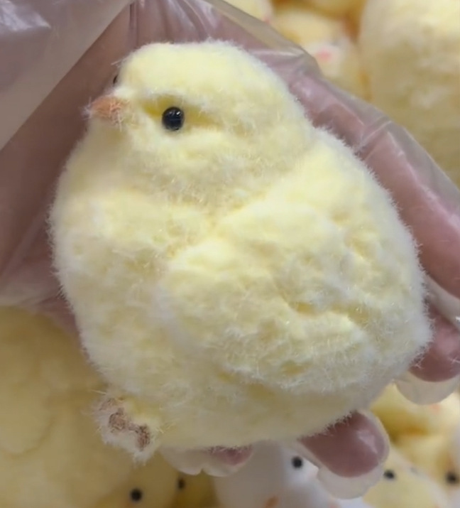 Big chicken pinch