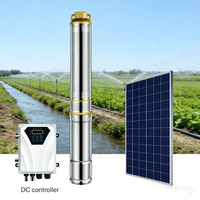 Pompe à eau solaire pour puits profond de 4 pouces, 1 CV, 750 W, à moteur CC sans balais permanent multi-étages, pour fontaine solaire