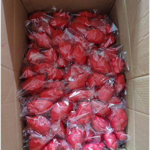 BSBH promosyon PU stres Organ Anti stres kalp akciğer beyin bel oyuncaklar hastane için özel LOGO kabartma stres topu ile - Product Image 5
