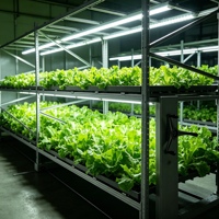 Table de culture à flux et reflux multi-niveaux sur roulettes, directement de l'usine, taille personnalisée OEM pour grands agriculteurs de serres