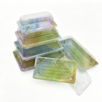 Barquettes rectangulaires jetables en PET YS avec couvercles transparents – Plateau à sushi japonais luxueux, personnalisable avec logo/impression pour aliments