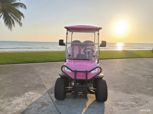Côte à côte voiture <span class=keywords><strong>électrique</strong></span> 4x4 hors route <span class=keywords><strong>Buggy</strong></span> Mini Jeep voiturette de golf avec CE - Product Image 3