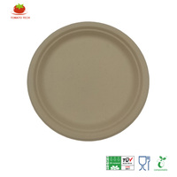 Assiettes en bagasse compostables et écologiques de 10 pouces, robustes, jetables, résistantes à l'huile, sans BPA, sans PFAS, 100 % biodégradables, utilisables au micro-ondes