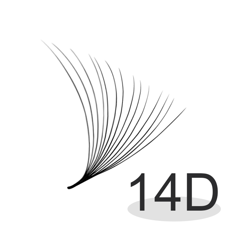 14D