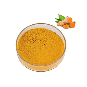 Organisches 95% Curcumin-Pulver Kurkuma-Wurzelextrakt Kräuterextrakt Vakuumverpackt Trommel/Flasche Lebensmittelqualität für Nahrungsergänzungsmittel OEM - Product Image 2