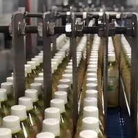 Automatische Complete Vruchtensap Wijn & Bier Productielijn Met Hoge Capaciteit Fles Vulmachine Nieuwe Staat