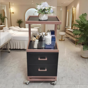 New High Quality Beauty <b>Tool</b> Collecting Salon Trolley Rolling Multi-function Gold Frame Beauty Trolleys <b>Cart</b> With Double Storage - Product Image 6
