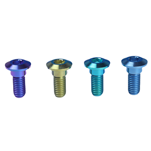 M8 * 24オートバイ改造ブレーキディスクボルトオートバイ部品チタンねじGr5チタンボルト工場卸売 - Product Image 3