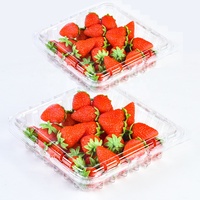 Contenant en plastique rectangulaire jetable de 1 lb pour fruits, type clamshell, avec trous d'aération, pour emballage de fraises - Vente chaude