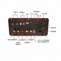 RMS D10II Dış Mekan Subwoofer Araba Güç Amplifikatör Kartı 35W Plastik ve Metal BT