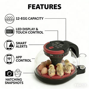 Inkubator dan penetas telur ayam otomatis mini dengan kamera, suhu konstan visual cerdas - Product Image 2