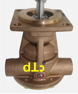 Bomba de Agua de Mar Cruda para Jabsco 30410-9001, Northern Light 25-12057, JMP JPR-NL101P - Product Image 3