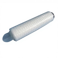 Cartouche filtrante à membrane en Nylon66 1,0 µm Code 7 pour la filtration industrielle de la bière
