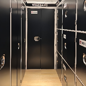 Mini entrepôt en acier galvanisé à <span class=keywords><strong>prix</strong></span> abordable, casier de rangement personnalisé, unité de stockage à vendre - Product Image 1