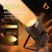 AICPOSE Fabricant Professionnel Prix de Gros 300W COB PAR Lumière de Scène LED COB PAR Blanc Froid et Blanc Chaud