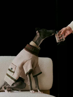 Pull pour chien personnalisé en laine mérinos, vêtements pour chien pour un cadeau mémorable, pull pour chien tricoté