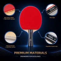 Ensemble de raquettes de tennis de table professionnel pour 2 joueurs, aspect carbone, avec 3 balles et étui de transport pour l'entraînement