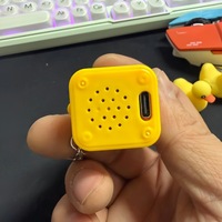 Jouet anti-stress lumineux et sonore en forme de canard ou grenouille, avec bouton de clavier, porte-clés en plastique, pendentif pour sac à dos, cadeau amusant