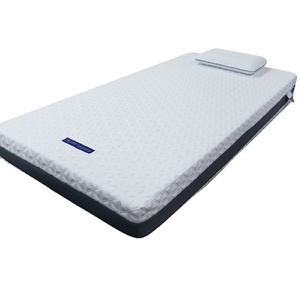 Skylee PoE có thể giặt thoáng khí chống Mite chống bedsore gấp nệm - Product Image 1