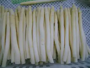 IQF congelati asparagi bianchi