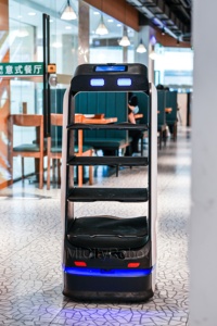 Venta caliente Temi V3 Nuevo AI Robots humanos Interacción de entrega de alimentos Hotel Hogar Negocio Móvil Robot de servicio inteligente de alta calidad - Product Image 4