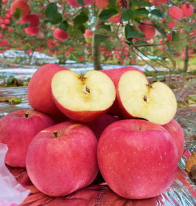 Bán buôn giá tốt nhất Fuji táo đỏ hữu cơ trái cây tươi từ Trung Quốc ngọt ngào pome lê với hương vị tuyệt vời - Product Image 2