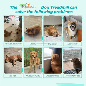 Hunde laufband Heavy Duty Umwelt freundlicher Kohlenstoffs tahl 61kg Innen-/Außen-Slatmill-Bremse Easy Move Pet Jogging Neujahrs-Mistech - Product Image 2