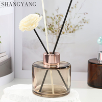 Diffuseur d'huiles essentielles en verre 120 ml pour aromathérapie, avec bâtonnets en rotin
