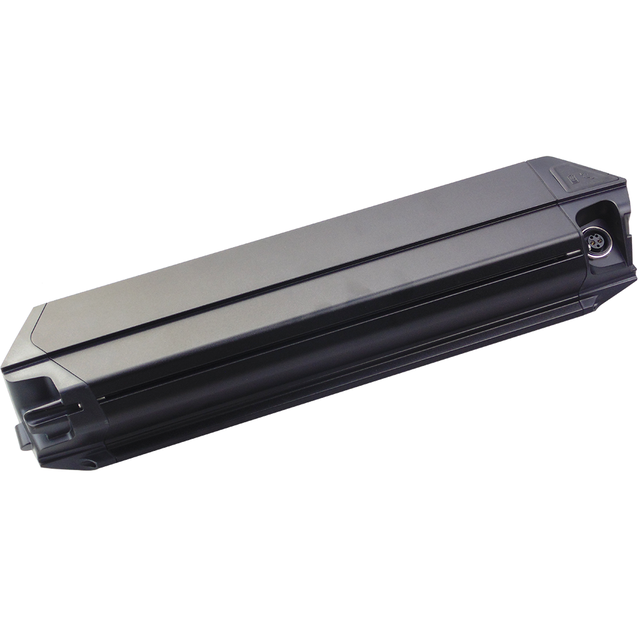Reention Dorado Ebike Frame Battery Pack 48V 24Ah 500w 750w 1000w Fat Tire Electric Bike Batteries