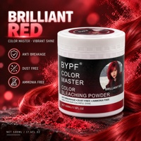 Poudre décolorante pour cheveux BYPF Color Master 500g sans ammoniaque, sans poussière, anti-casse, poudre décolorante pour salon, vente en gros OEM
